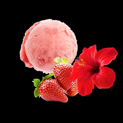 maison-h-sorbet-fraise-follore